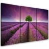 Картина из трех частей, печать на холсте, цветочный луг, лавандовый пейзаж