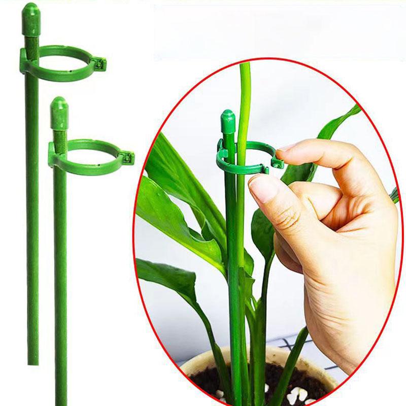 5pcs 30/60/90cm Plant Flower Potted Support Stand Tomato Climbing Holder Stake Stander Fixing Tool Garden for Orchid Bonsai A1