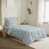 Reversible Duvet Set for Bed 90 X 190 Cm Agathe Celadon
