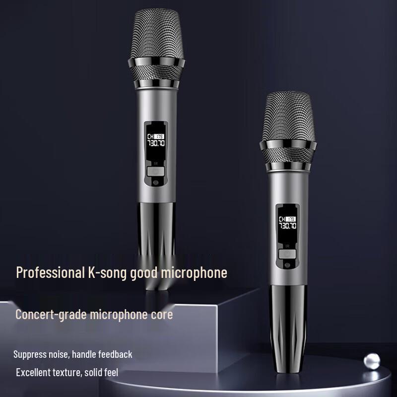 Soaiy F97 Upgrade 15-inch High-Power Portable KTV Speaker