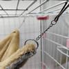 Pet Supplies Plush Hanging Hamster Cage Pet Hammock Squirrel Beds Pet Sleeping Bag