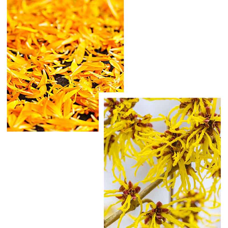 VENZEN Niacinamide Cosmetic Kit Pore Shrinking Moisturizing Facial Skin Care Set