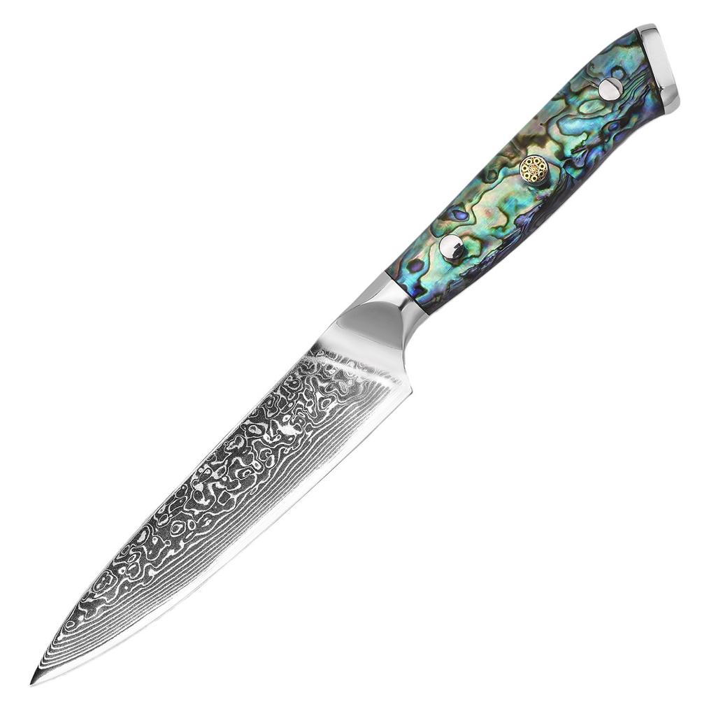 67-Layer Damascus Steel Kitchen Knife, 60-62 HRC High Hardness Sharp Slicing Knife, Vacuum Heat Treated Chef Knife for Fruit Vegetable Meat Prep