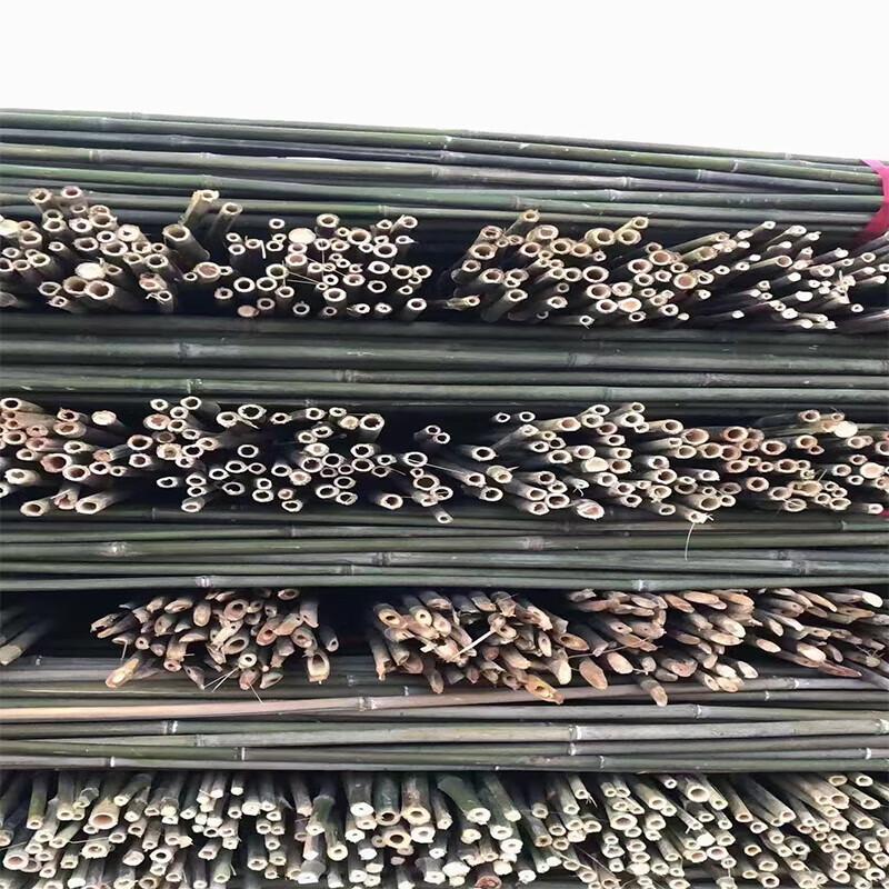 Bamboo Garden Stakes and Trellis Poles