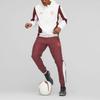 Puma Manchester City Mens Prematch Anthem куртка мужская куртка белая 772846-11