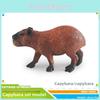 Реалистичная коллекция моделей животных Капибара из ПВХ с возможностью сборки для обучения и декора детей
