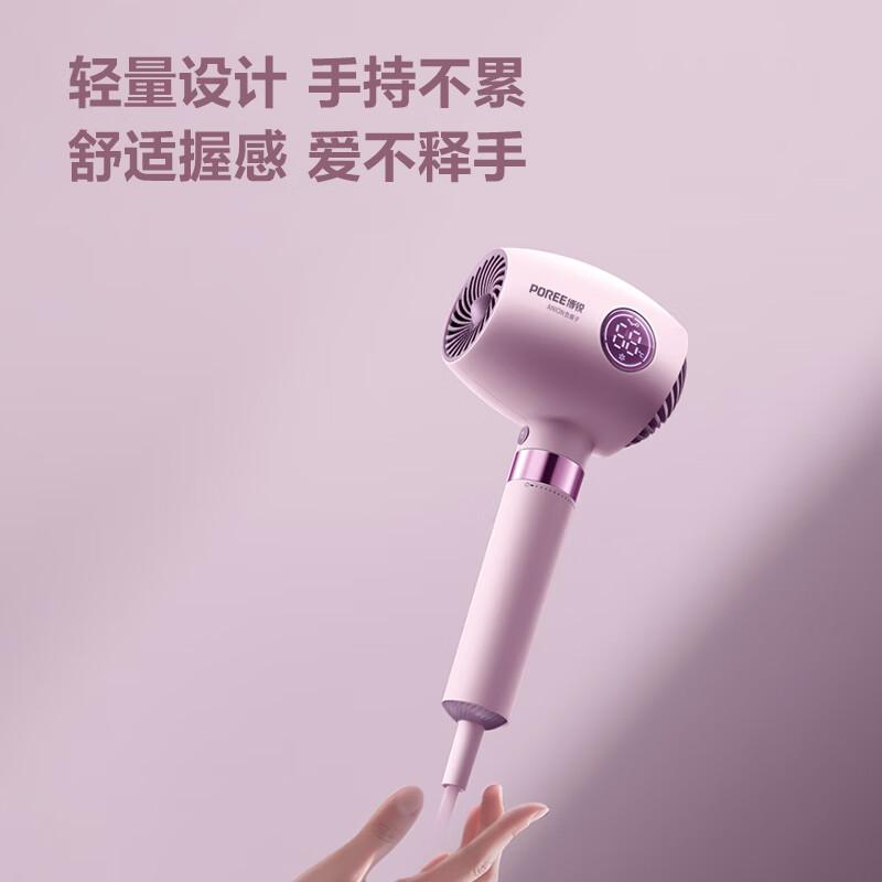 Feike's Borui Negative Ion High-Power Hair Dryer with Intelligent LED Display PH1638