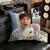 NNoah Will SSchnapp Pillow Case Antidustmite Pillowcase Invisible zipper silky short plush Sofa cushion cover