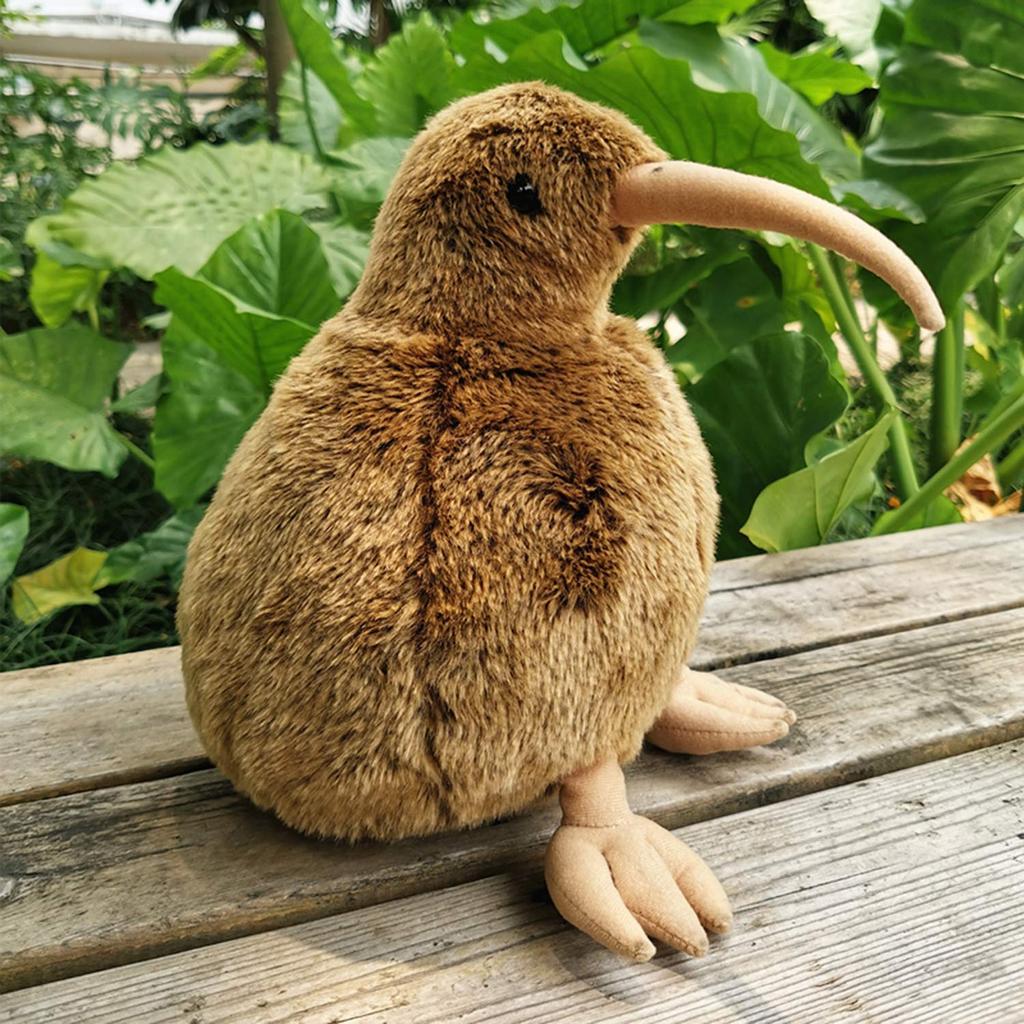 Realistic Kiwi Plush Fluffy 30cm Cute Educational New Ages 6 and Up Toy, Animal, Long, Toy, Christmas, Birthday, Year's Gift,