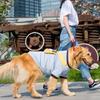 Soft Fleece Pet Hoodie Large Dogs Milk Silk Fabric Casual Style Sizes 3XL To 8XL