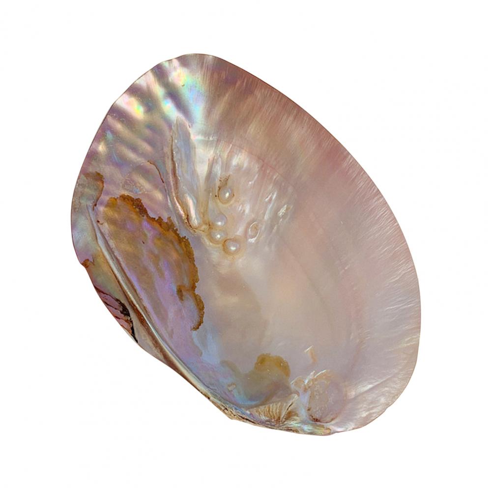 Лоток для хранения, симпатичный лоток для хранения косметики, ювелирных изделий, компактный держатель для хранения