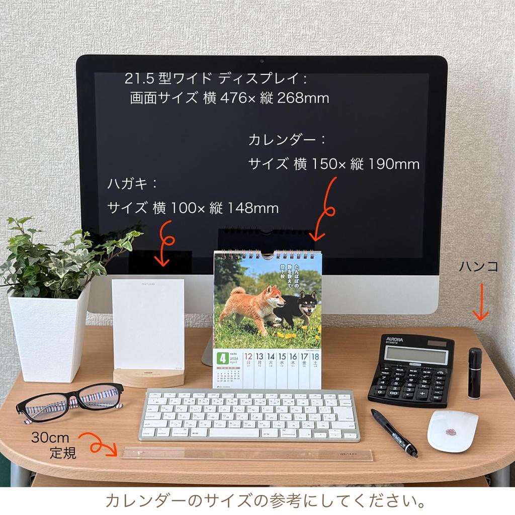Active Corporation 2026 Desk Calendar Starts January 2026 (Because It's Shiba) 26ACL-566