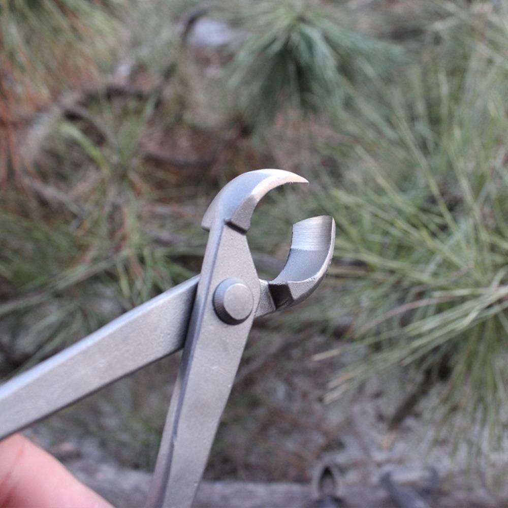 Carbon Steel Bonsai Scissors 210mm Ball Shear Scissors  Garden Bonsai Tools