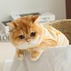 Spring and Summer Cat Thin Breathable Bipedal Into Kitten Anti-hair Loss Teddy Than Bear Dog Cat Clothes Pet Clothing
