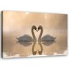 Canvas Print Swans In Love At Sea