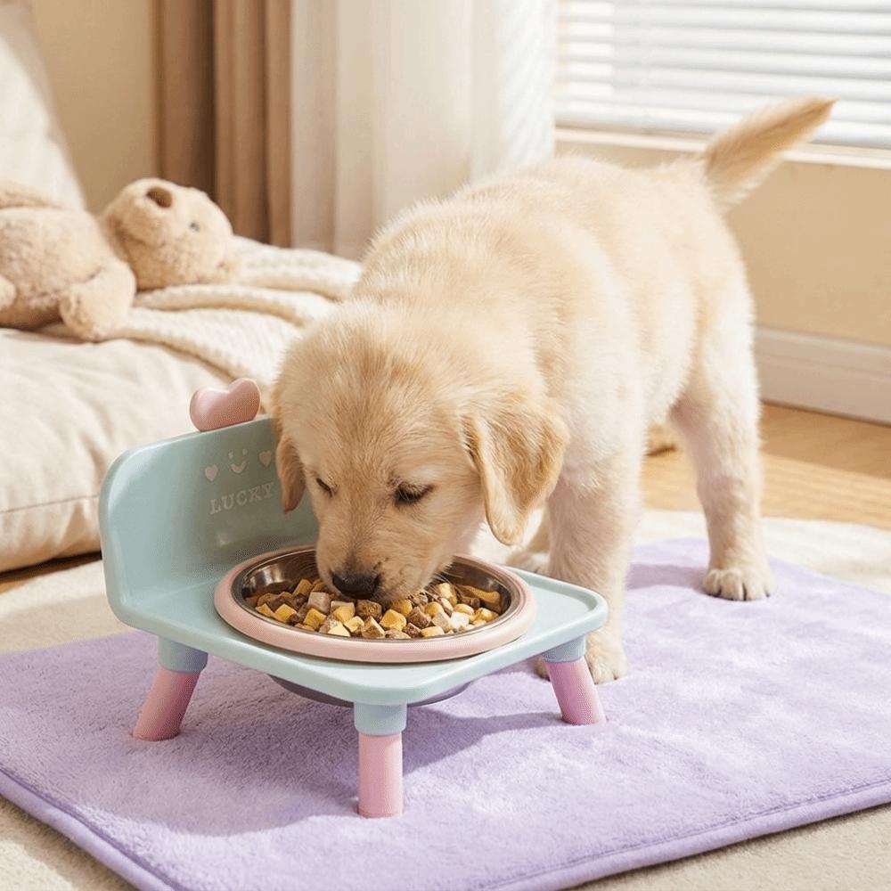 Stainless Steel Dog Water Bowl Anti-slip Pet Food Water Station Elevated Pet Feeder Indoor Use
