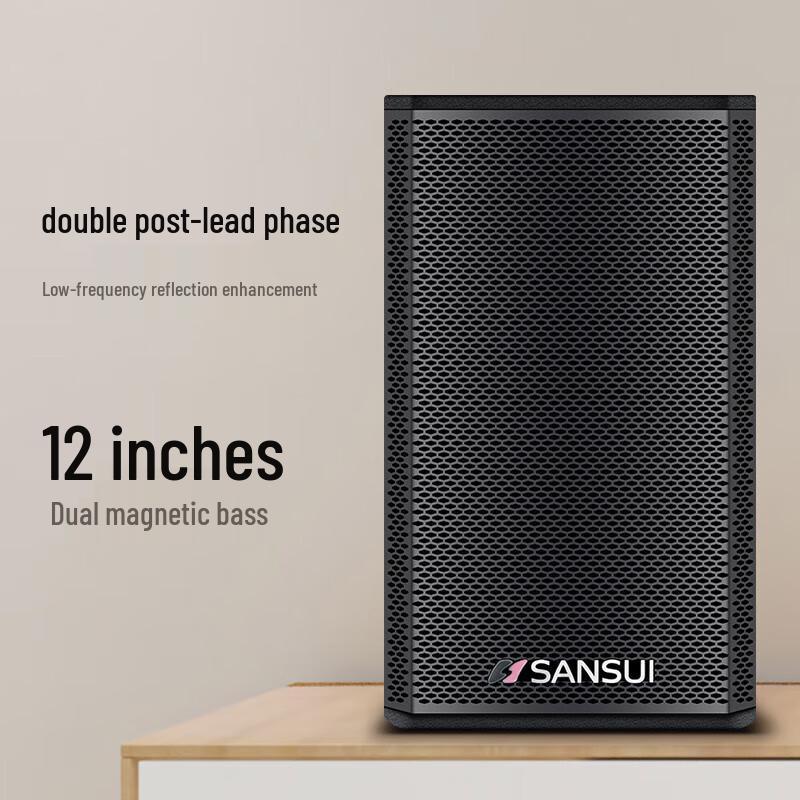 Shanshui KB9 Home KTV Karaoke System