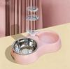 2-in-1 Automatic Pet Water Dispenser Double Bowl for Cats and Dogs
