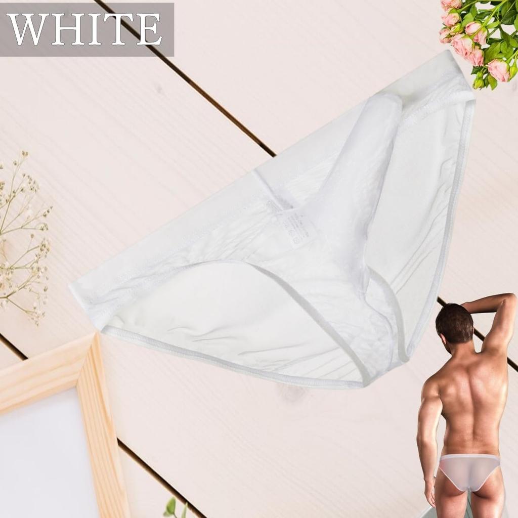 La Transparent Sexy Underwear Micro Mesh Pants Lingerie Elephant Briefs [Heureux Joie] Men's See-Through Men's (3XL, WHITE)