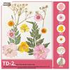 Handmade Bookmarks with Real Pressed Flowers - DIY Materials for Back to School, Kindergarten Specimens, Ornaments, and Decorations.