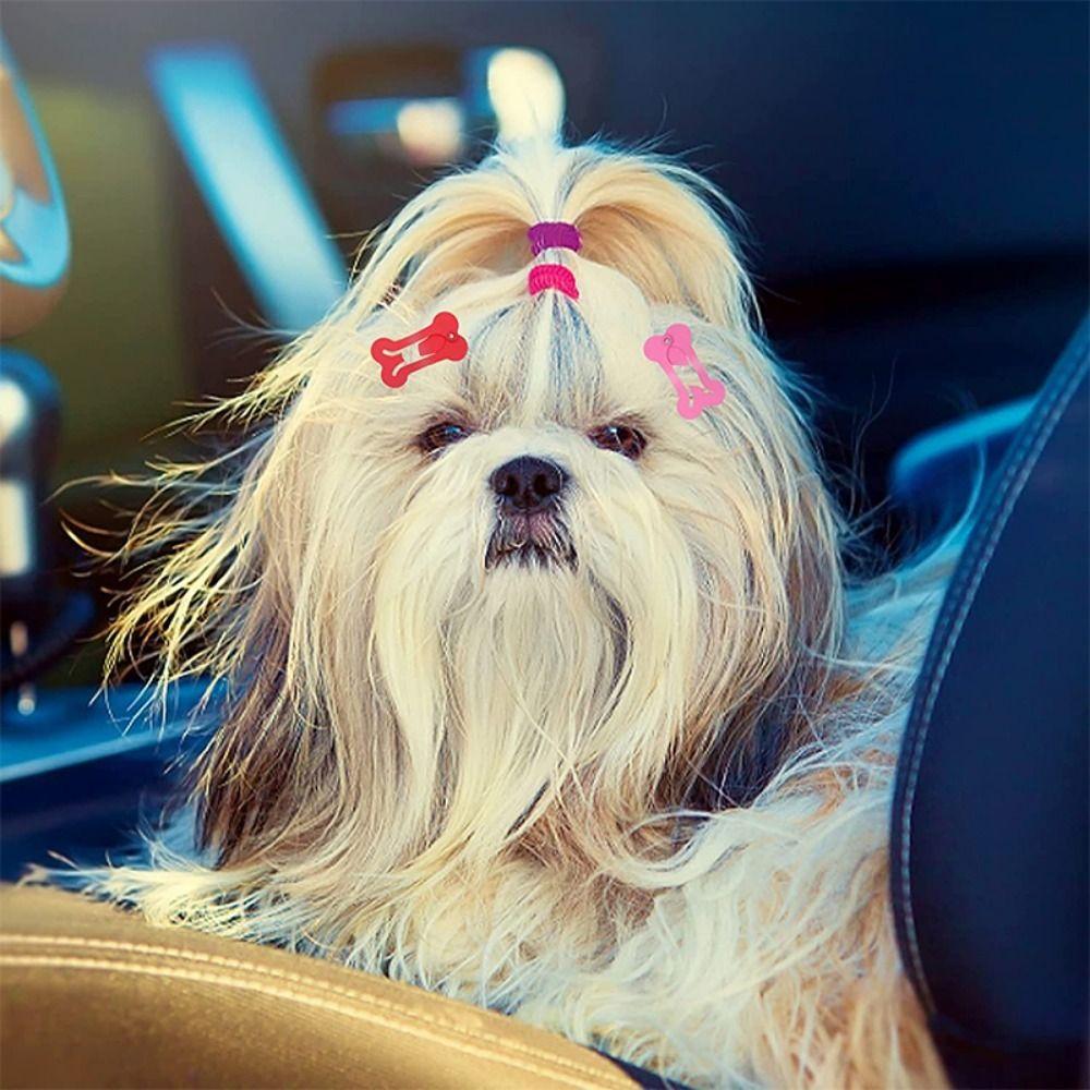 Bone Shape Candy Color Decorative Puppy Hairpin Dog Hair Accessories Cat Hair Clips Dog Hairpin