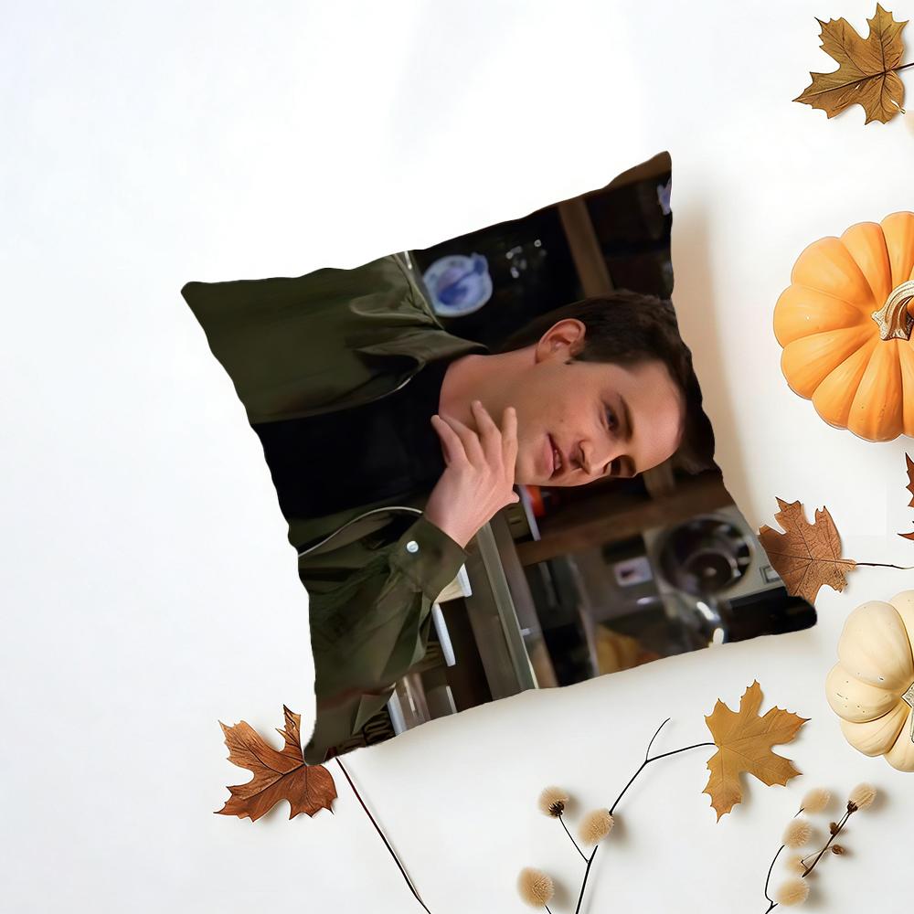CChandler Bing Cushion Cover Washable Linen Pillowcase Soft for Daily Sofa Bed Home Room Decor