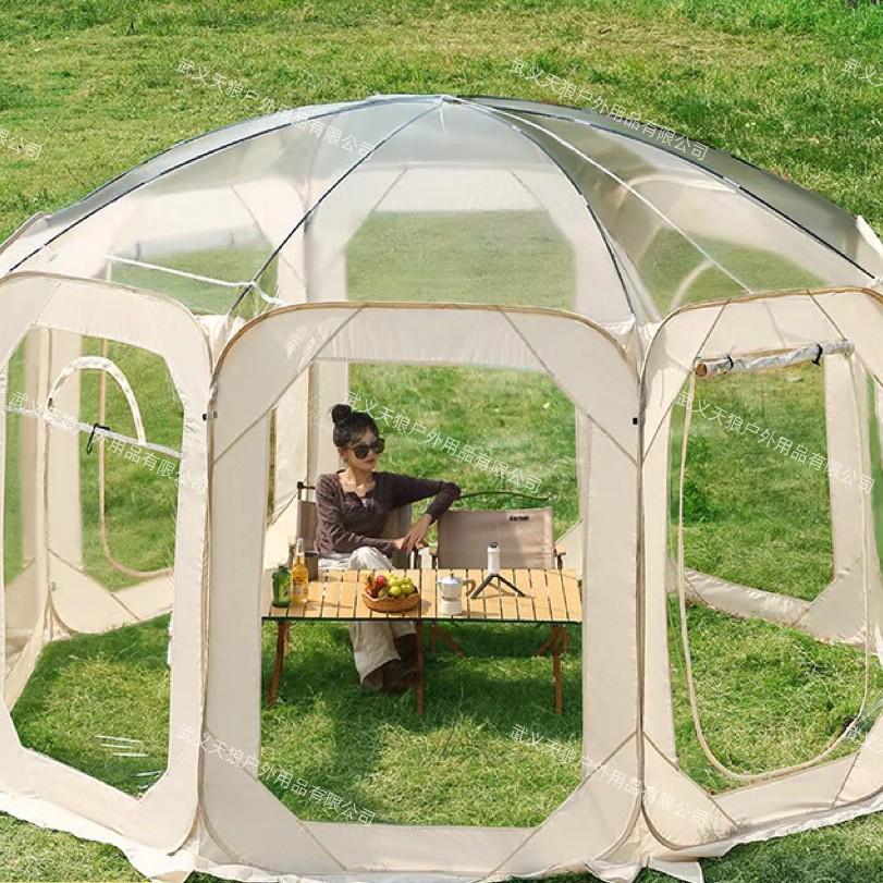 Starry Sky Winter Tent: Transparent Bubble House Sunroom & Outdoor Camping Canopy