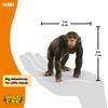 Schleich Wildlife Chimpanzee Ages Realistic Animal Toy 14883 Figure, 3+,