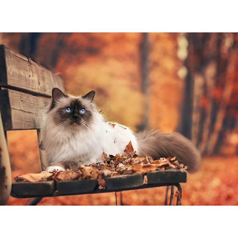 5D DIY алмазная живопись милый кот Алмазная вышивка животное вышивка крестиком полная круглая дрель ручной ремесла домашний декор подарок