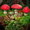 Fairy Garden Miniatures Mini Mushroom Garden Decoration Resin Mushroom Glow In The Dark Craft Landscape Mushroom Statue