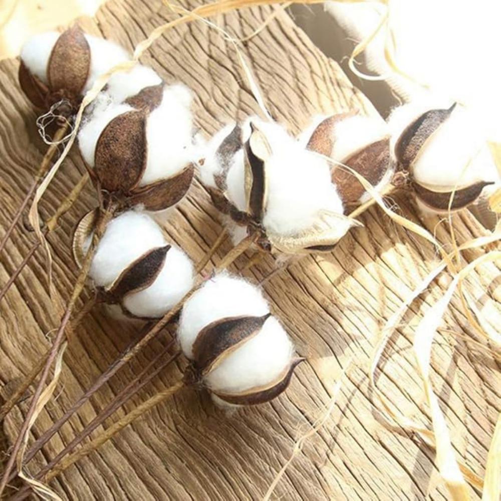 20 шт. хлопковых стеблей, натуральные хлопковые цветы, сушеные хлопковые палочки, ветка для вышивки, наполнитель для фермерского дома, мебель, свадебное украшение для дома своими руками