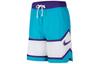 Nike Баскетбольные шорты мужские голубые CT4622-443