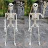 40CM Halloween Human Skeleton Plastic Bone Model Creative Body Figurine  Outdoor Indoor