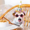 6 Pairs Birthday Party Glasses Birthday Props Funny Sunglasses For Party Favors