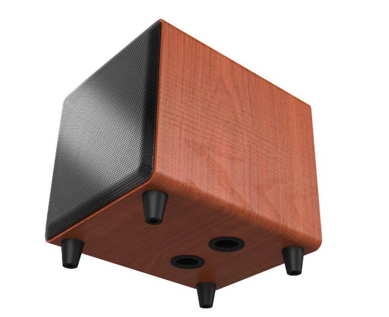 Активный сабвуфер Tianlai TL-D10 10" для KTV, конференц-залов и домашнего использования.
