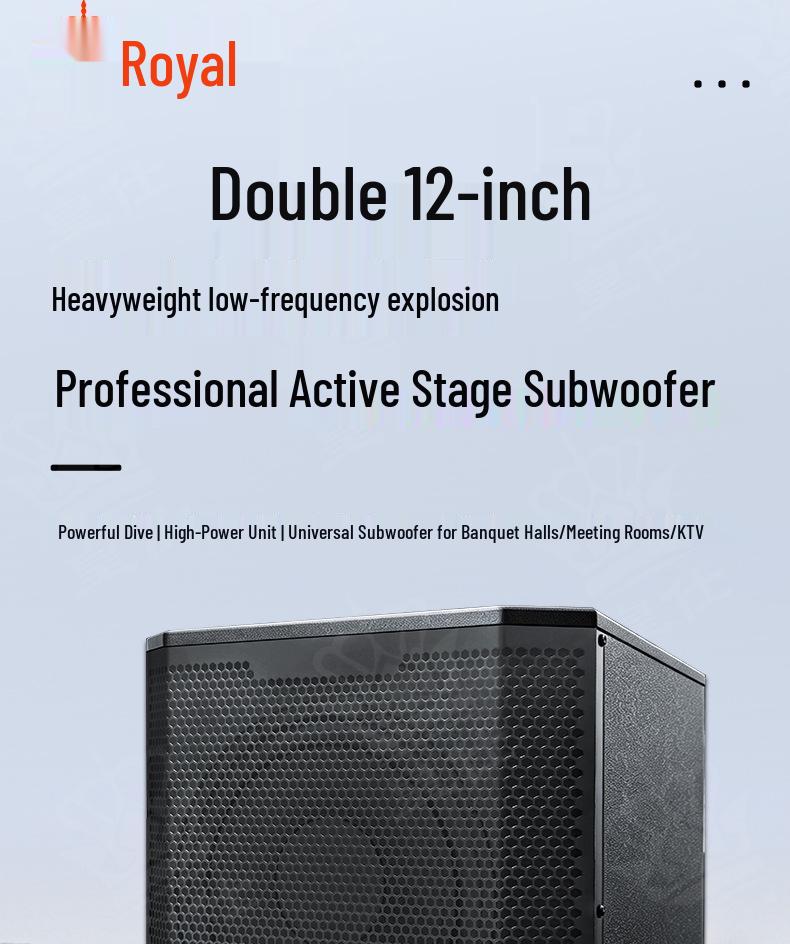 Huangshi Dual 12" High-Power Active Professional Stage Subwoofer with Super Bass