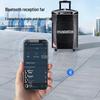 Malata 9015S Portable Bluetooth Karaoke Speaker (CN version)