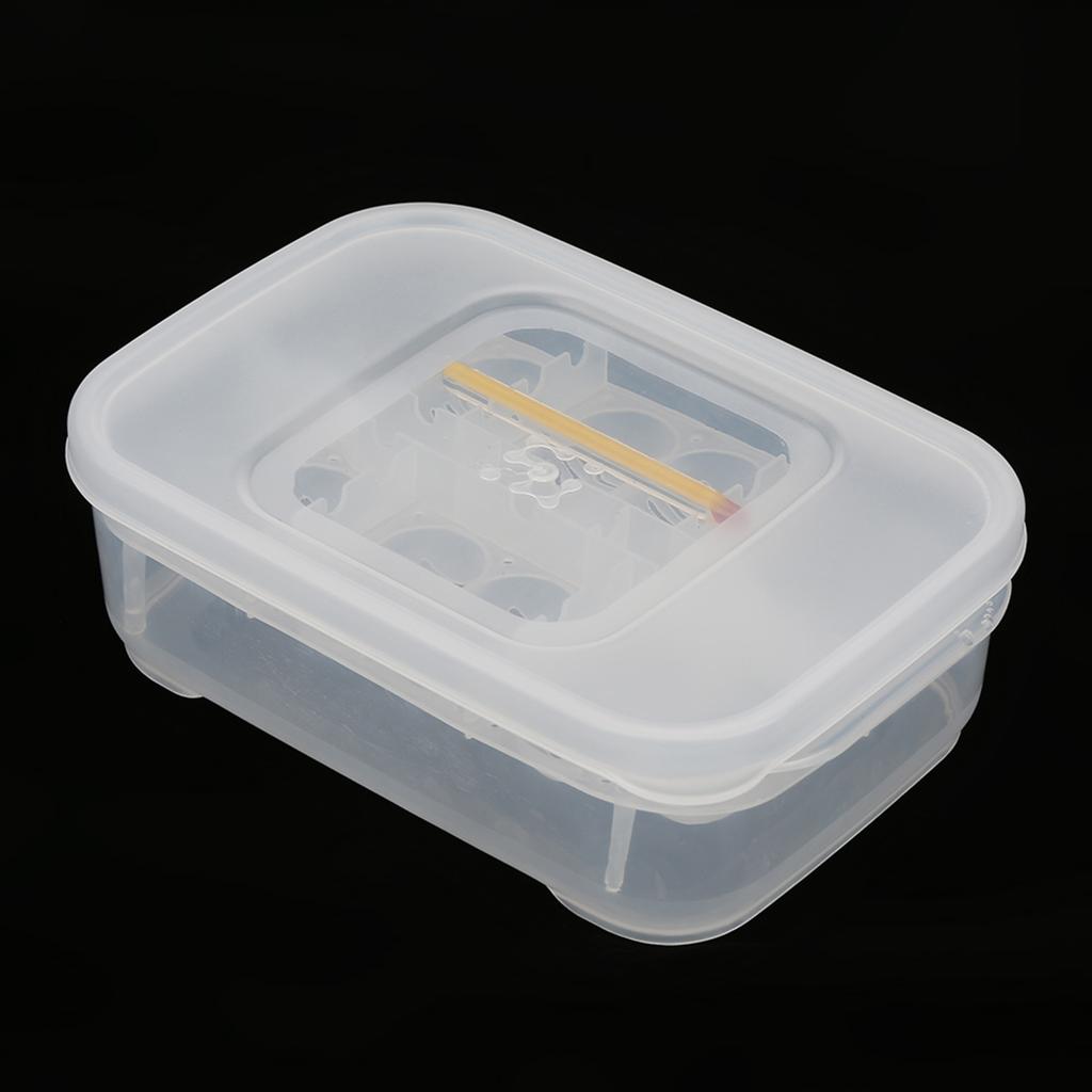 12 сеток, змей, гекконов, ящериц, рептилий, яиц, инкубатор, лоток, инкубационная коробка с термометром