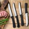 Кухонные принадлежности из нержавеющей стали Столовые приборы Стейк-нож Практичный Высококачественный Пластиковая ручка Доступен в посудомоечной машине Нож
