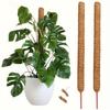 Diy Modeling Plant Climbing Poles Can Be Bent At Will Coconut Palm Rods Free Shaping Column Moss Gardening