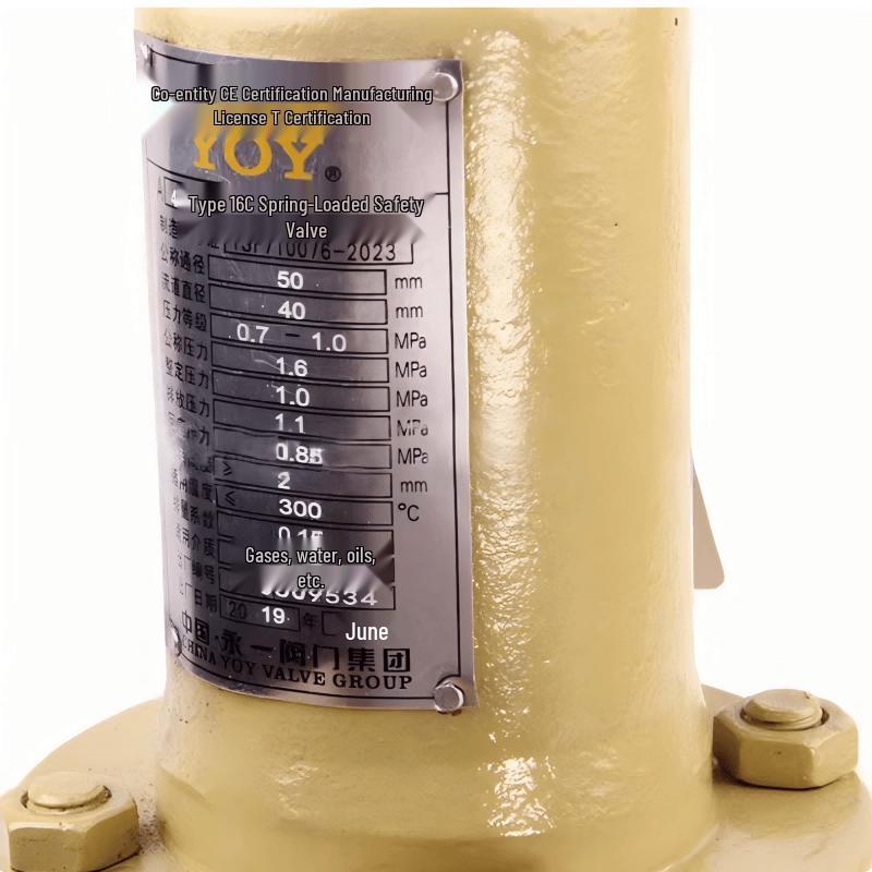 Yongyi Fudesheng A41Y-16C Spring-Loaded Closed Flange Safety Valve