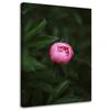 Canvas Print Pink Flower Bud Nature