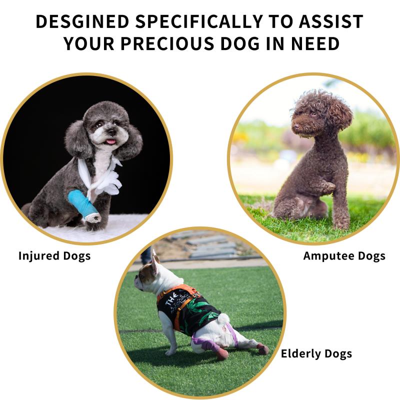 Dog Support Harness Dog Assisted Belt for Front and Rear Legs Pet Recovery Vest Elastic Adjustable Walking Dog Chest Strap