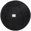 ALINCO Exercise Ball Cover for 65cm WB1251K