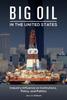 The Big Oil In the United States : Industry Influence On Institutions, Policy, and Politics Book