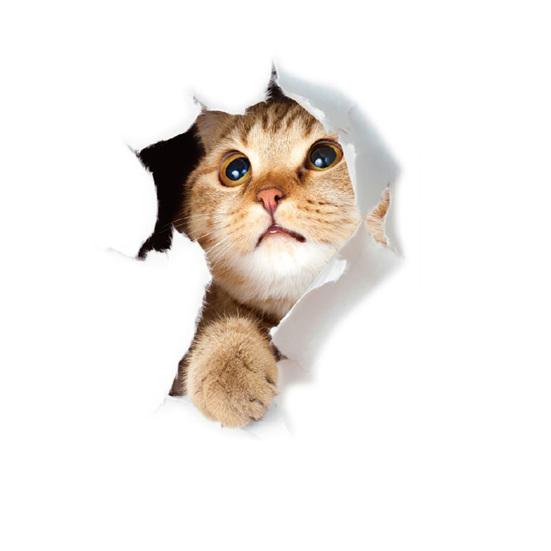 3D творческий дизайн наклейки на стену с изображением котенка ванная комната туалет крышка украшение комнаты