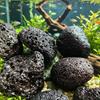 Натуральный нерегулярный вулканический камень, аквариумный камень, очистительный камень для аквариума, украшение для дома, камень, диффузор масла, камень