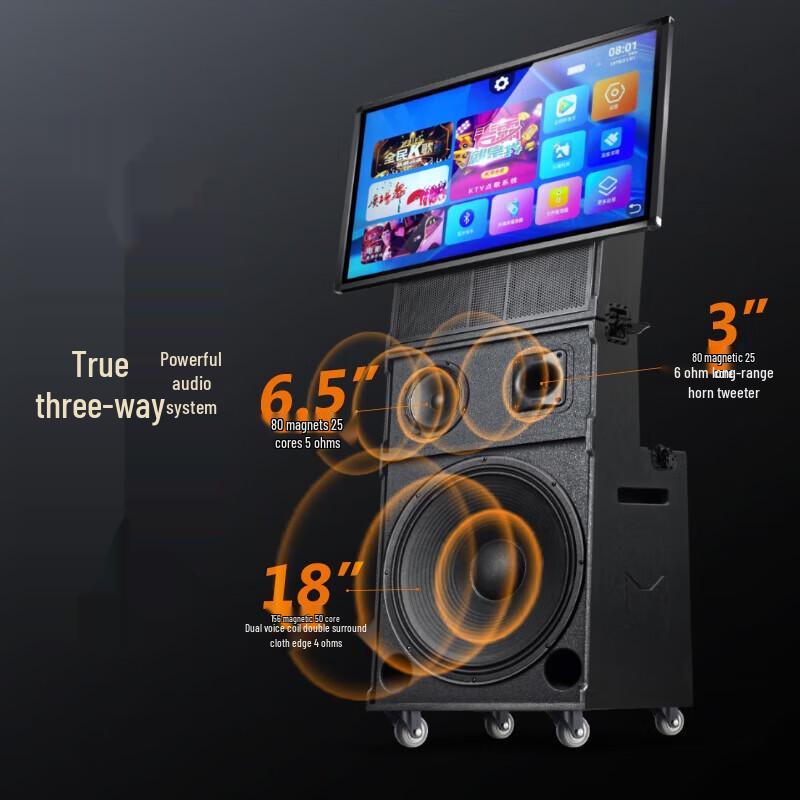 SAST Professional KTV & Meeting All-in-One Audio System ST-2118