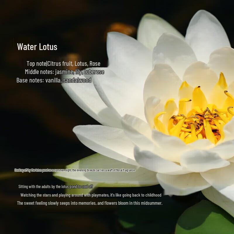 Tesori d'Oriente Water Lotus Body Cream