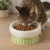 Wide Mouth Dog Food Feeder Anti-Slip Base Elevated Feeding Bowl  for Cats Dog Puppy
